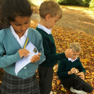 Year 3 Botanic Garden Trip